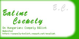balint csepely business card